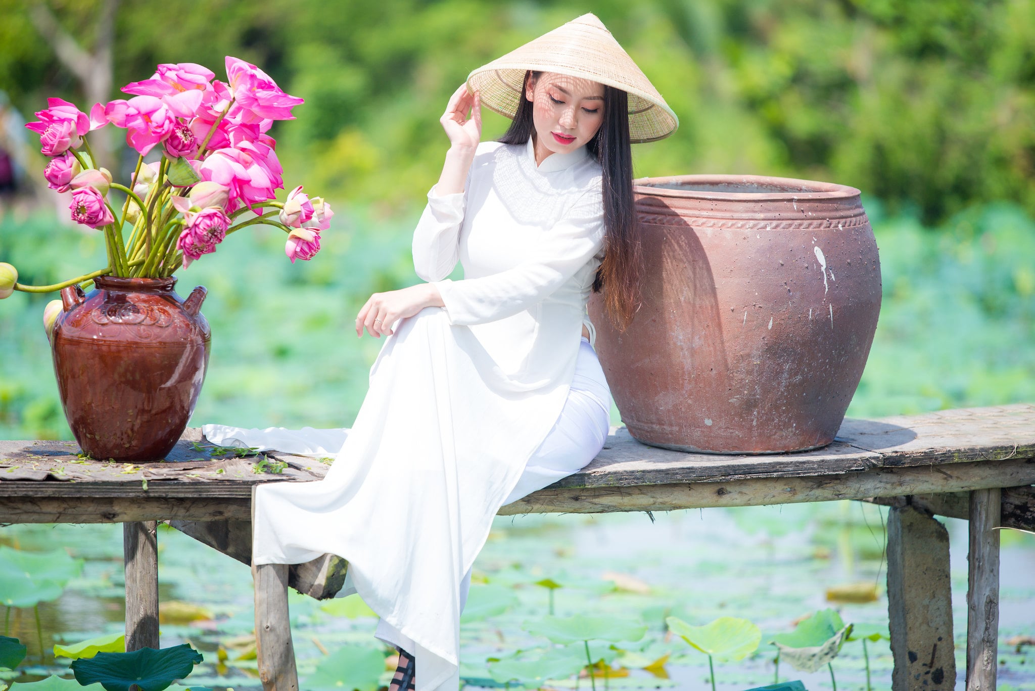 Hoa sen Tam Đa đẹp