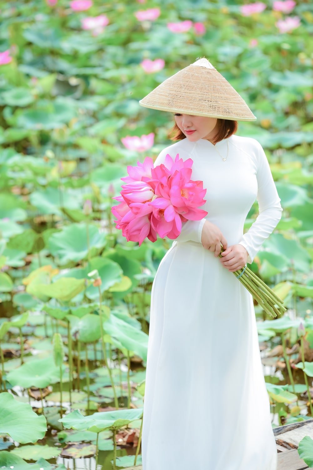 Hoa sen 2023 2 min