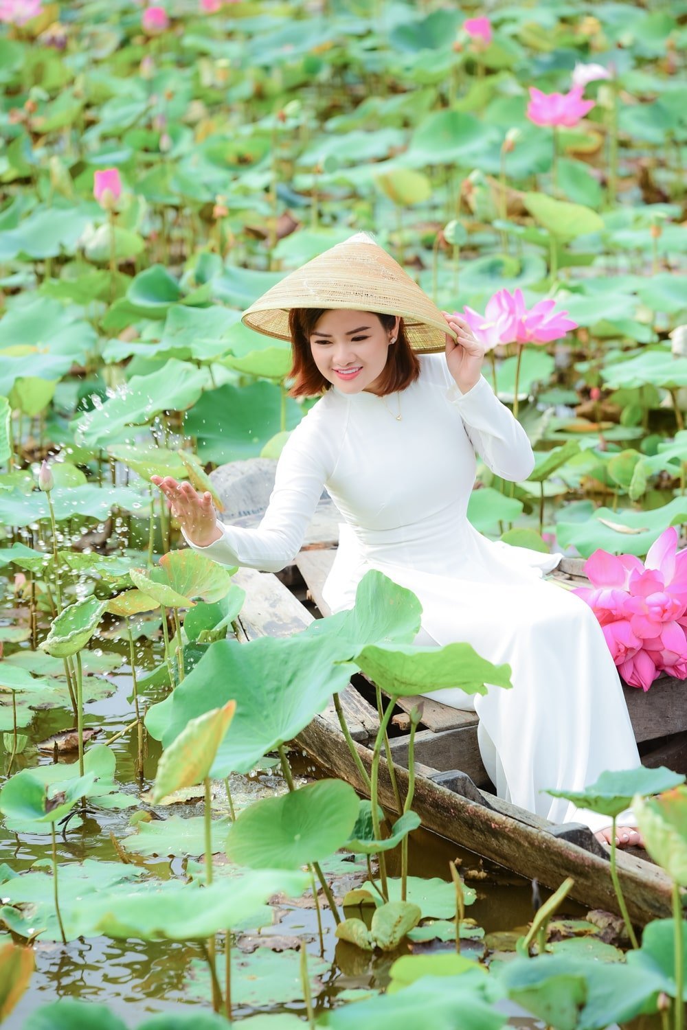 Hoa sen 2023 1 min