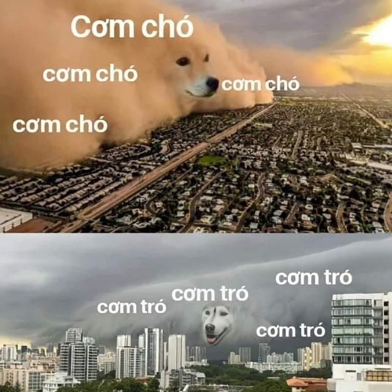 Cẩu lương meme hài hước