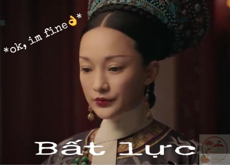 Meme như ý truyện: ngắm nhìn mèo giáng sinh ấm áp 2025