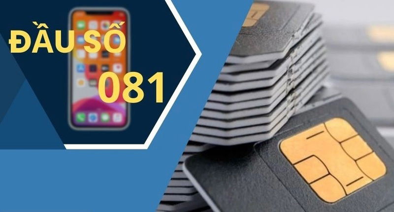 Chọn mua SIM đầu số 081 - Sự lựa chọn thông minh từ VinaPhone
