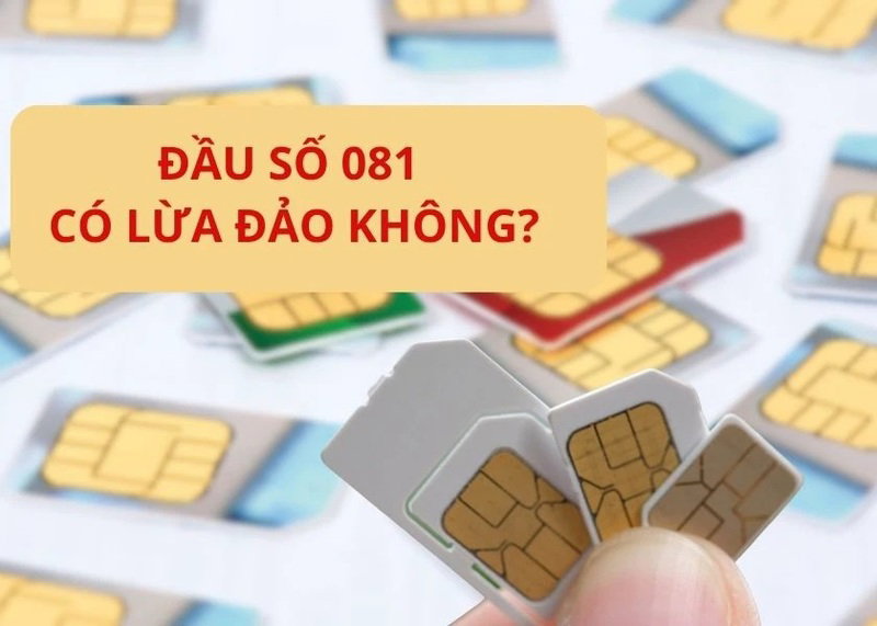 081 là mạng gì? Tìm hiểu đầu số đẹp của VinaPhone