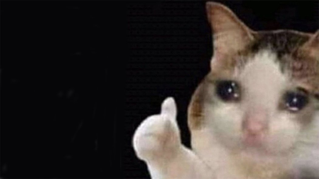 meme meo khoc