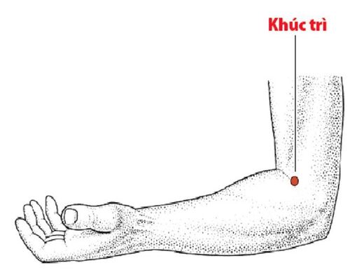 Vị trí huyệt khúc trì trên cơ thể người