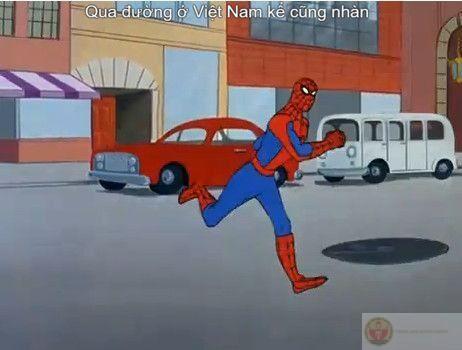 Meme spider