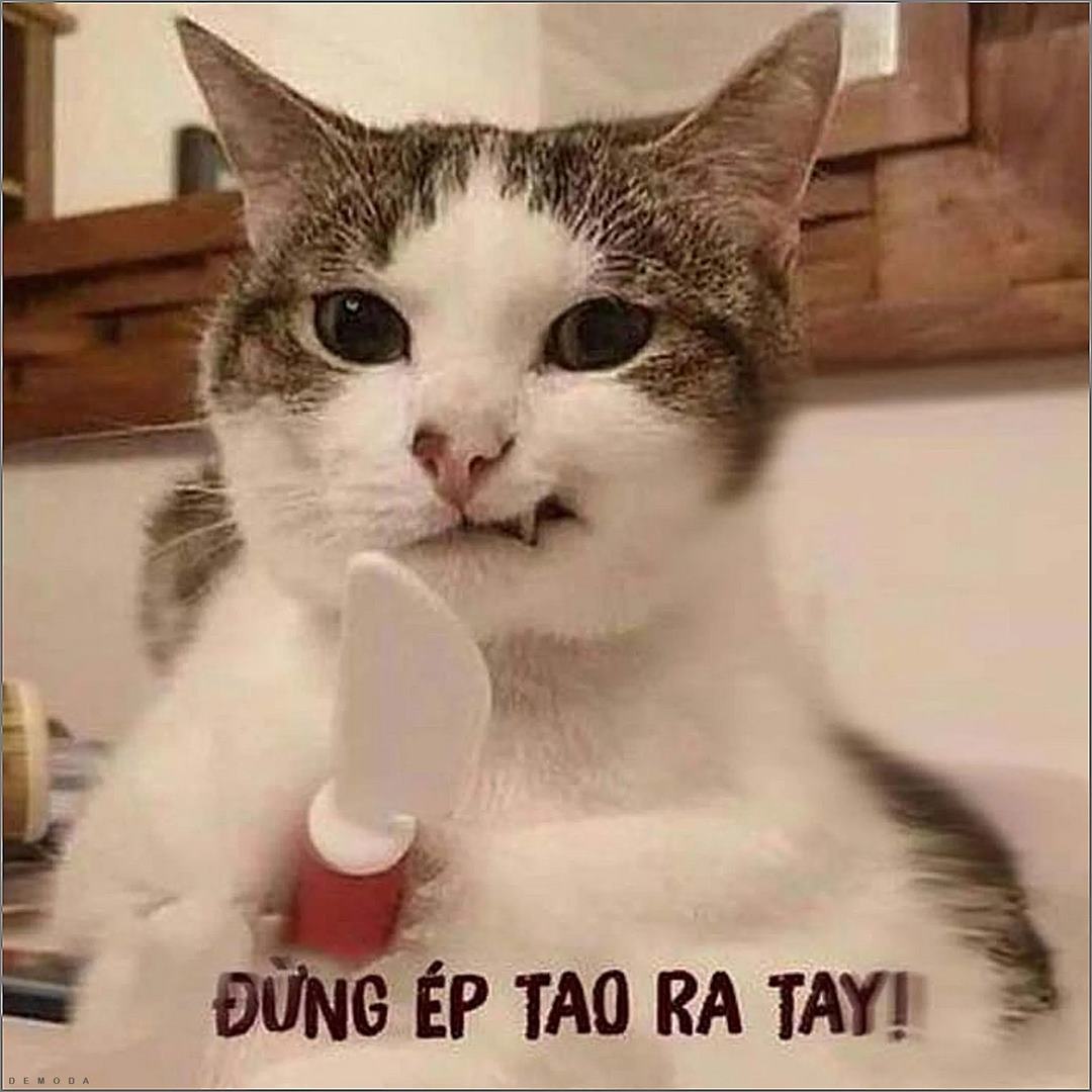 Cầm dao trong tay nhưng con tim vẫn rung động
