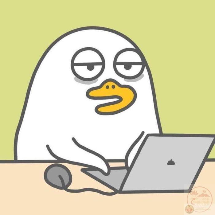 Loạt meme dành cho "thế hệ cợt nhả đi làm" đối đáp với sếp :)))) Cre: tumacio