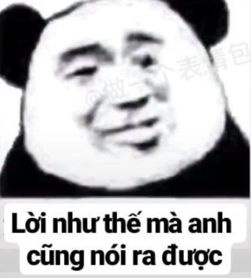 Gấu trúc cười mỉm, trong lòng đang viết kịch bản