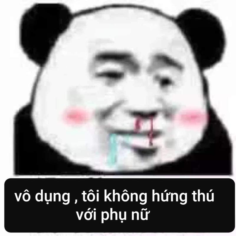 Đừng chạm vào tâm trạng của gấu trúc hôm nay