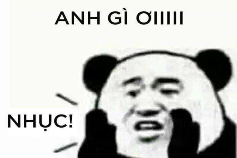 Gấu trúc không cần vỗ về, chỉ cần vỗ tay thôi