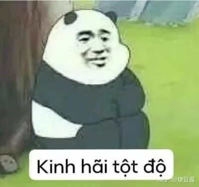 Meme gấu trúc bựa Trung Quốc