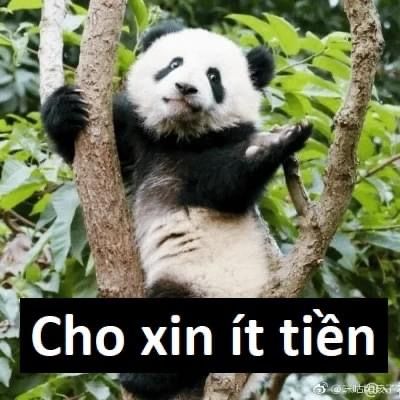 Tâm trạng hôm nay: chỉ muốn nằm ôm gối khóc nhẹ