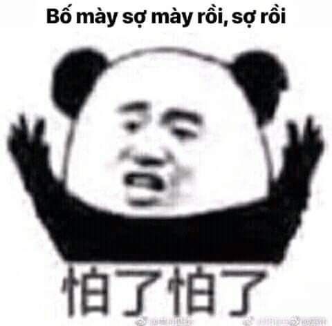 Meme gấu trúc khóc