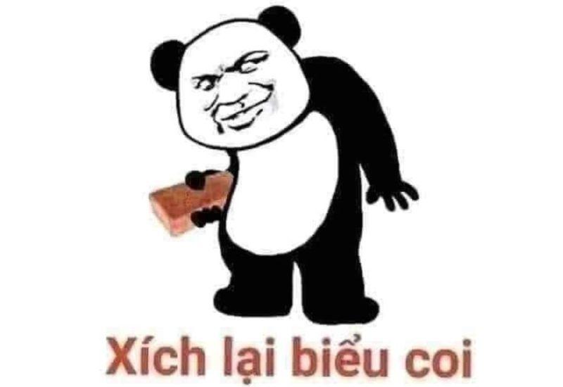 Cười nhiều lên chút nữa, gấu trúc đang quan sát đó