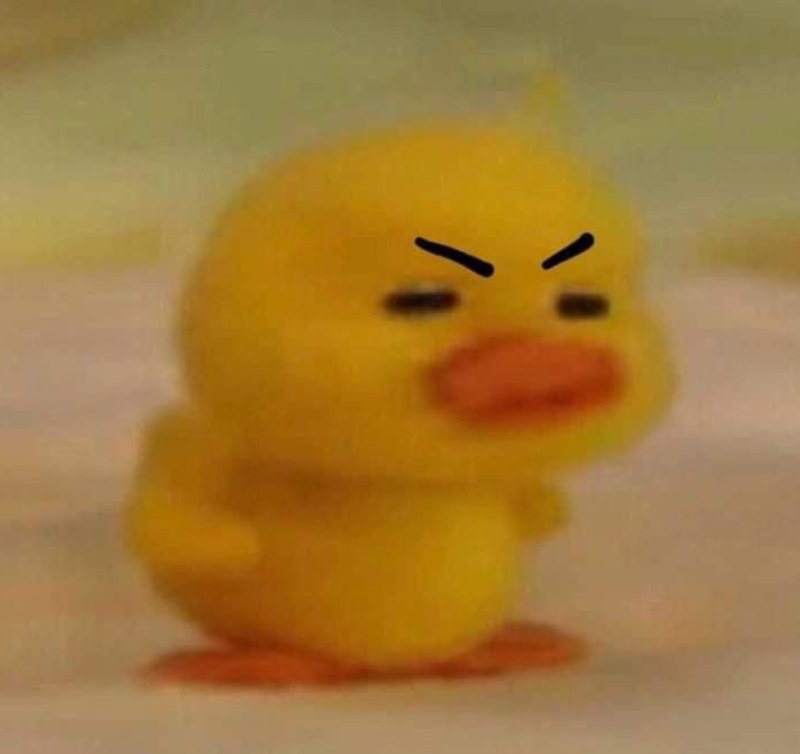meme vịt giận