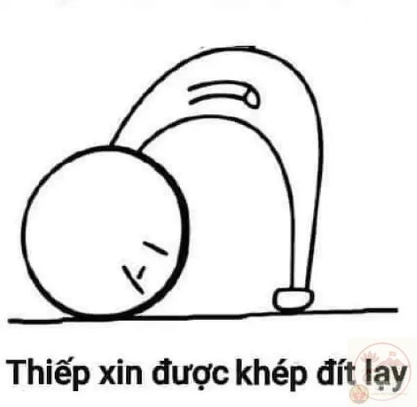 meme cầu xin 9