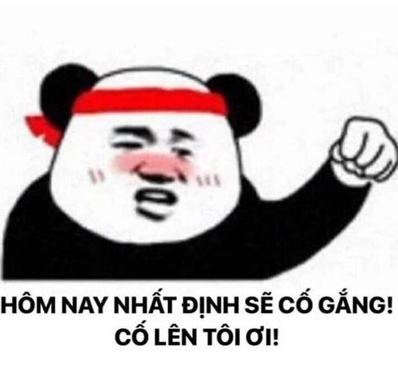 Hình ảnh cố lên meme con gấu trúc