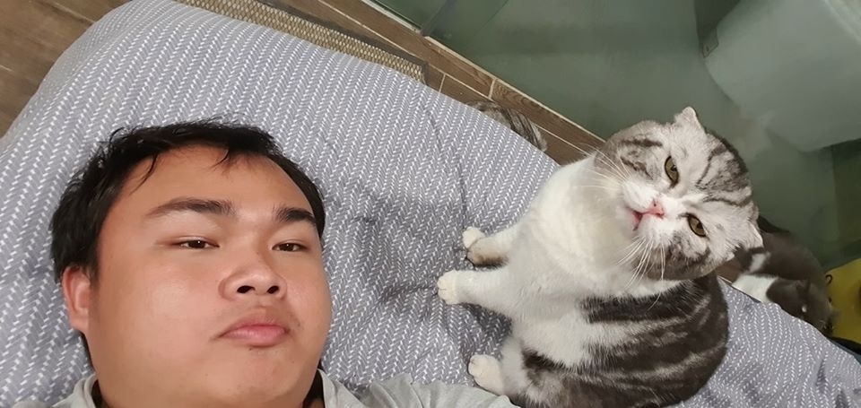 Chú mèo ở Việt Nam gây bão mạng với meme 'đau ở đây này'