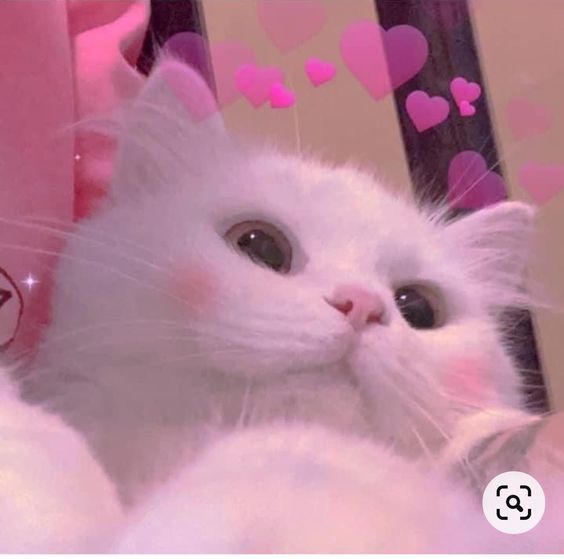 Selfie một cái nào!