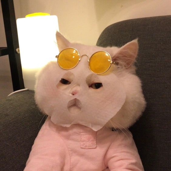 Skincare tí cho da đẹp nào!