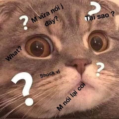 What? Mày vừa nói gì đấy? Tại sao? Mày nói lại coi?