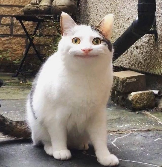 Ủa gì zậy?