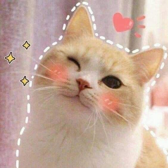Twinkle Twinkle Little Star.