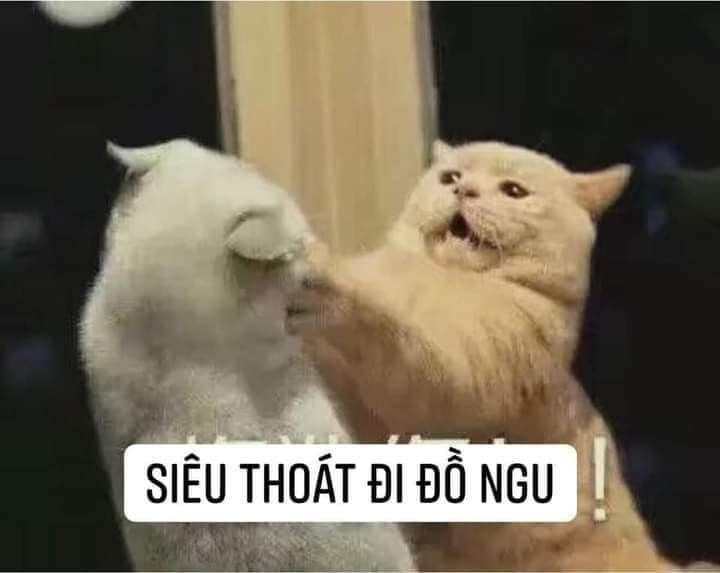 Siêu thoát đi!!
