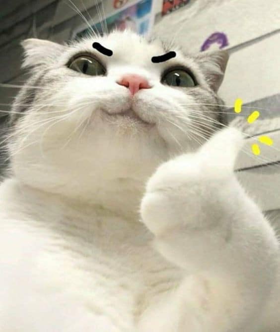 Cậu tuyệt nhất!