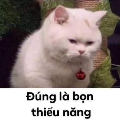 Đúng là bọn thiểu năng.
