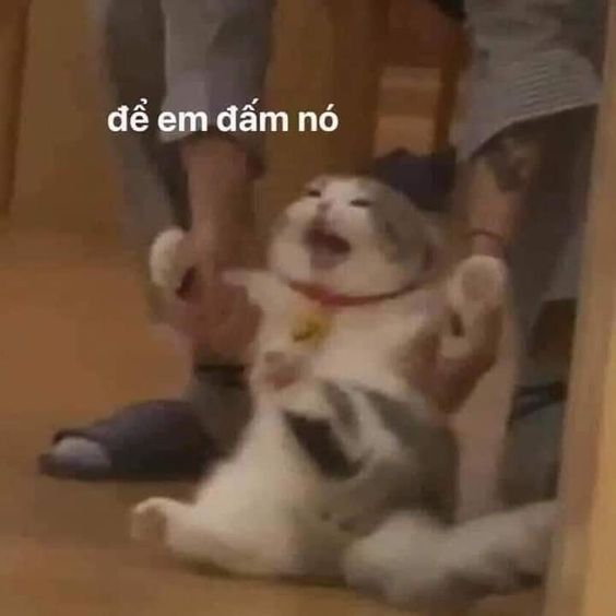 Đừng cản em, để em đấm nó.