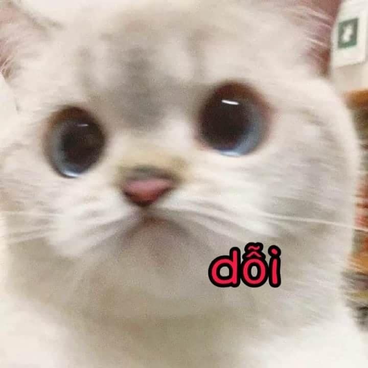 Dỗi anh luôn!