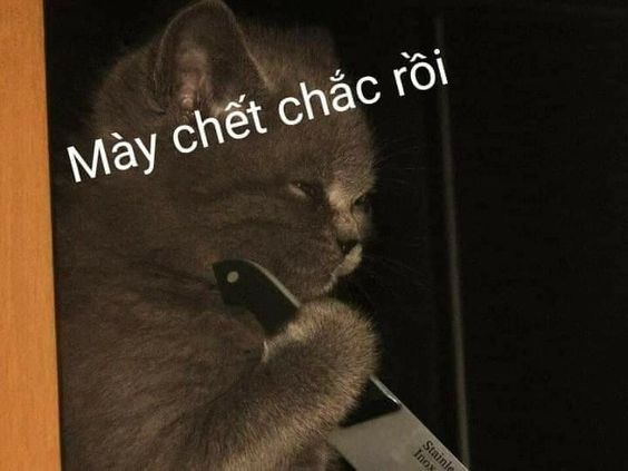 Mày chết chắc rồi!