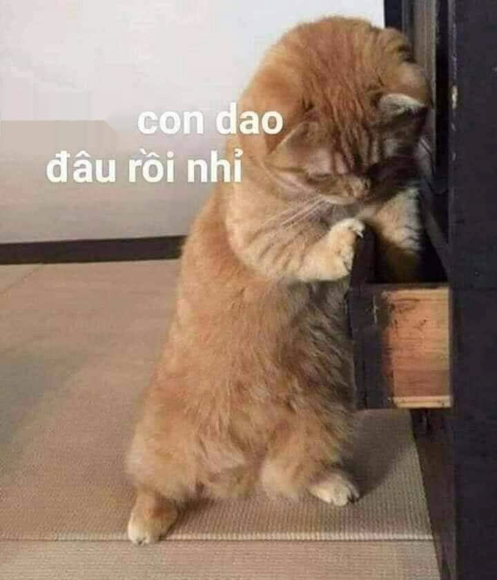 Con dao đâu rồi nhỉ?