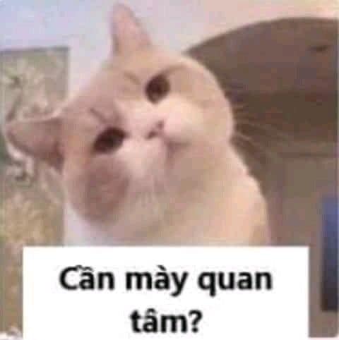 Cần mày quan tâm à?