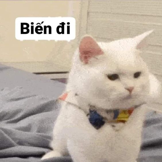Biến đi!