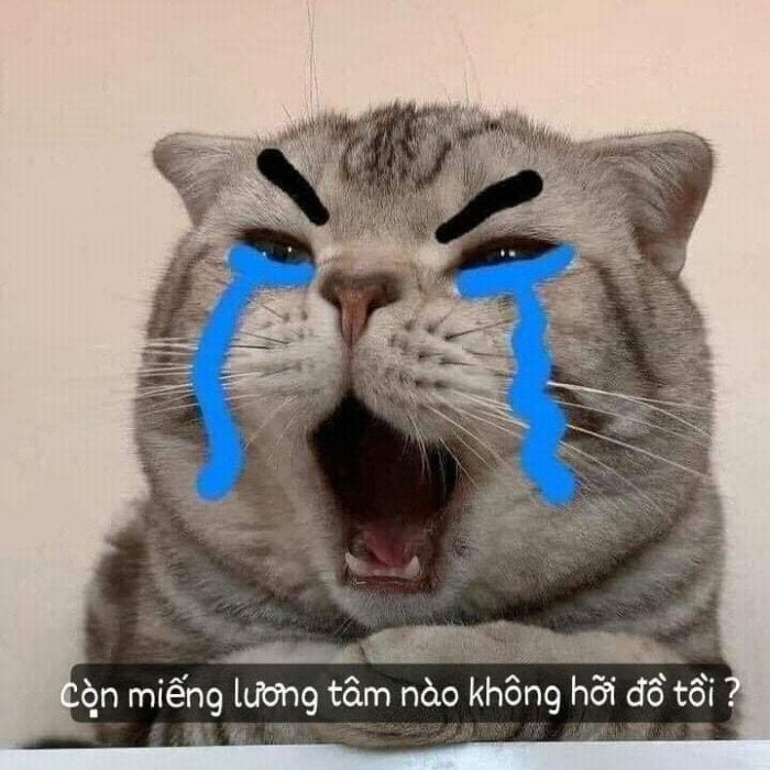 Oa oa còn miếng lương tâm nào không hỡi đồ tồi?