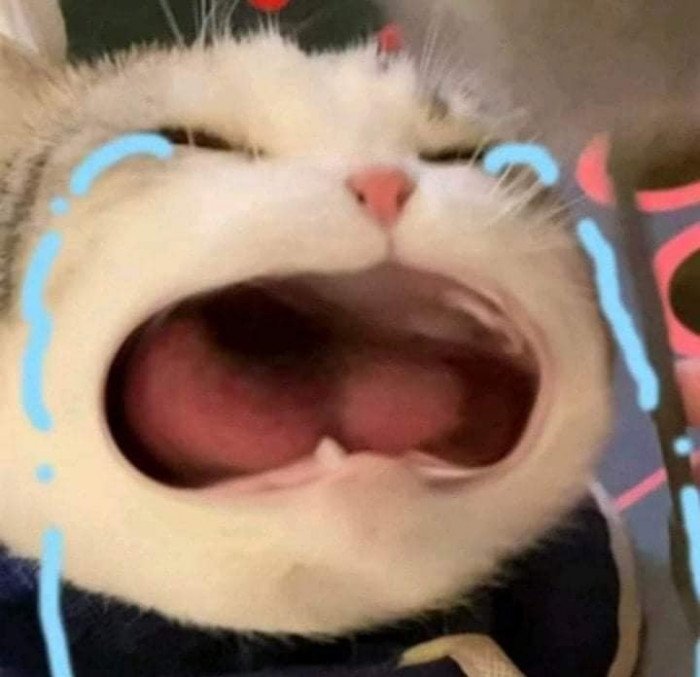 Oa oa bắt đền anh!
