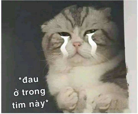 Đau ở trong tim này!