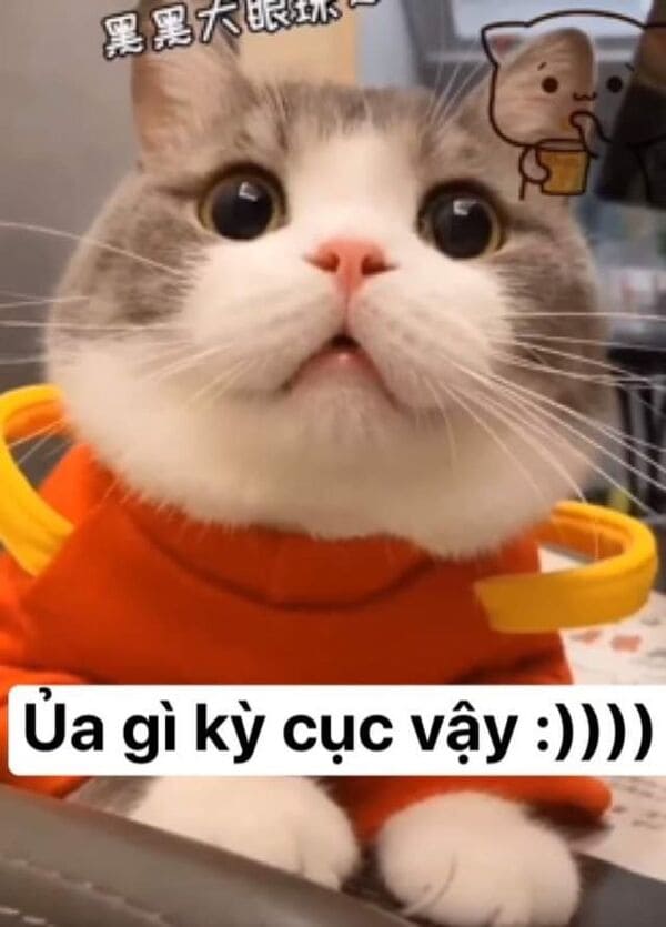 Ủa gì kỳ cục vậy má!!!