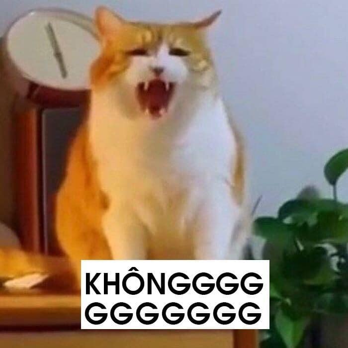 Em đã nói không rồi màaa.