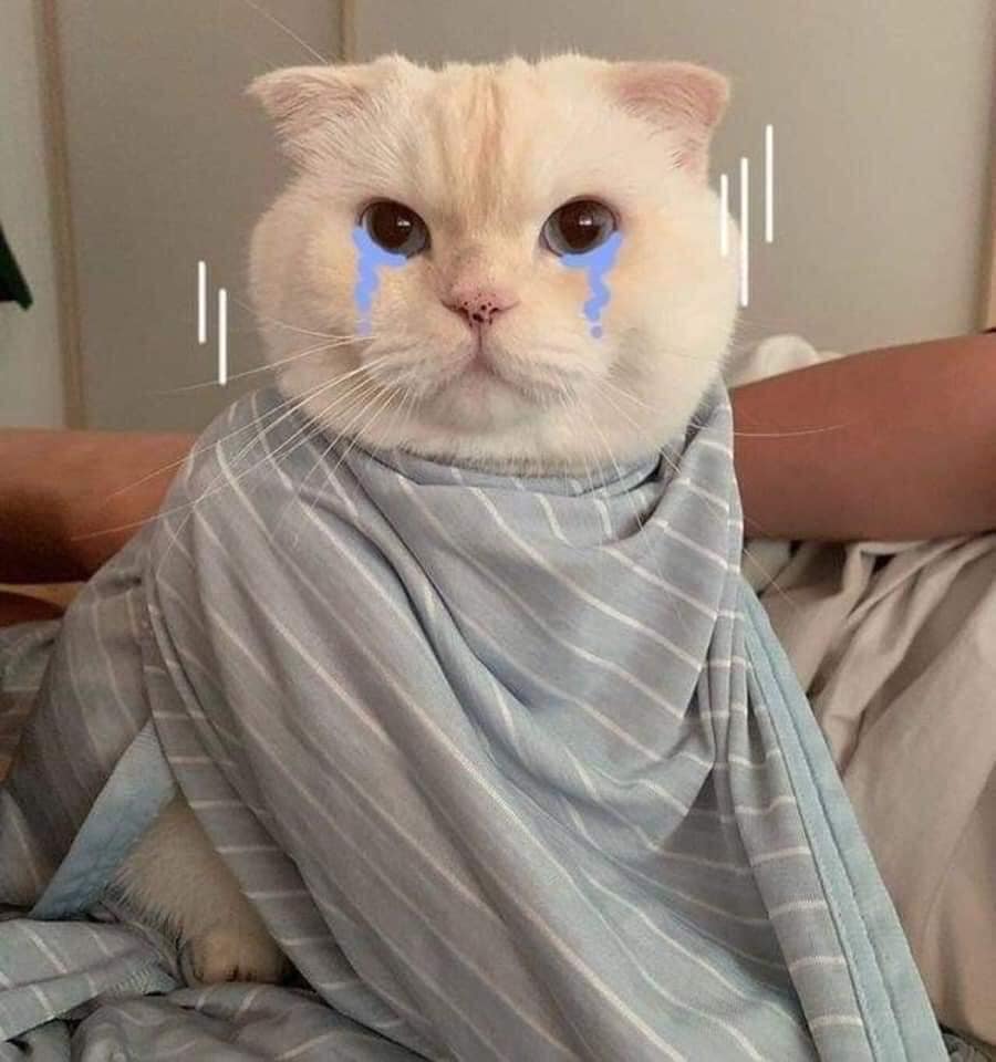 Mạnh quá mẹ ơi ứa nước mắt huhu.
