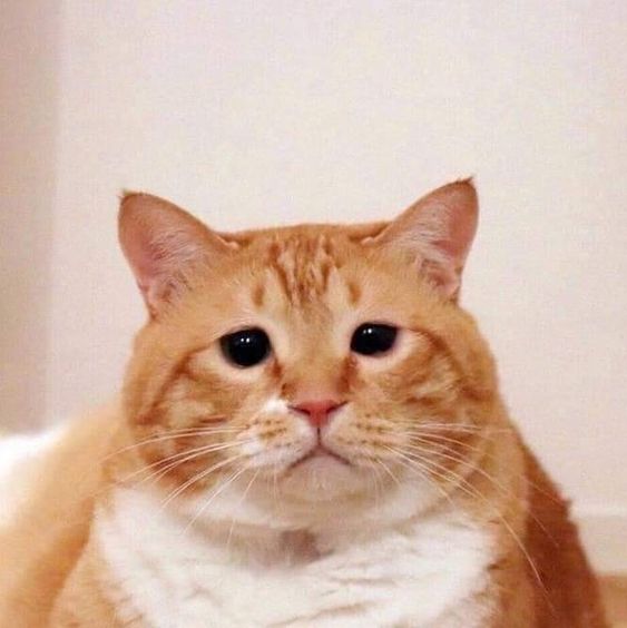 Tự nhiên buồn ngang vậy nè.