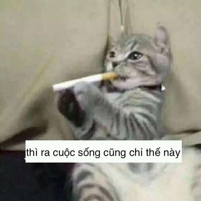 Thì ra cuộc sống cũng chỉ thế này!