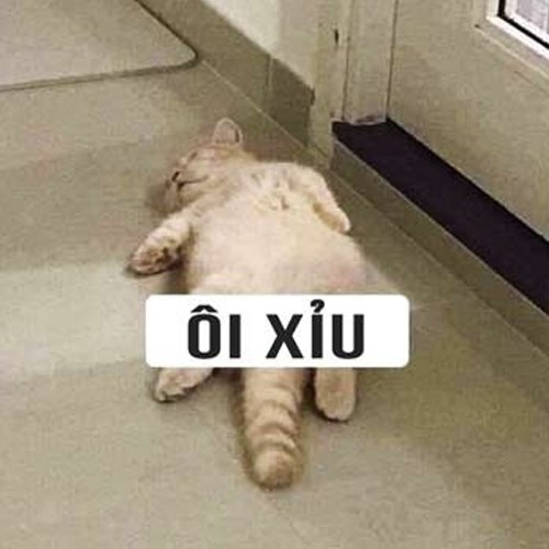 Ôi xĩu ngang.