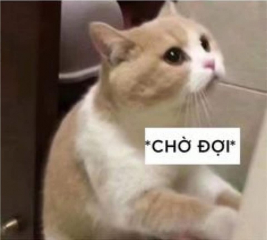 Chờ người nơi ấy...