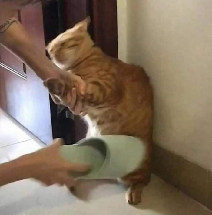Ứ không chịu đâuuu.