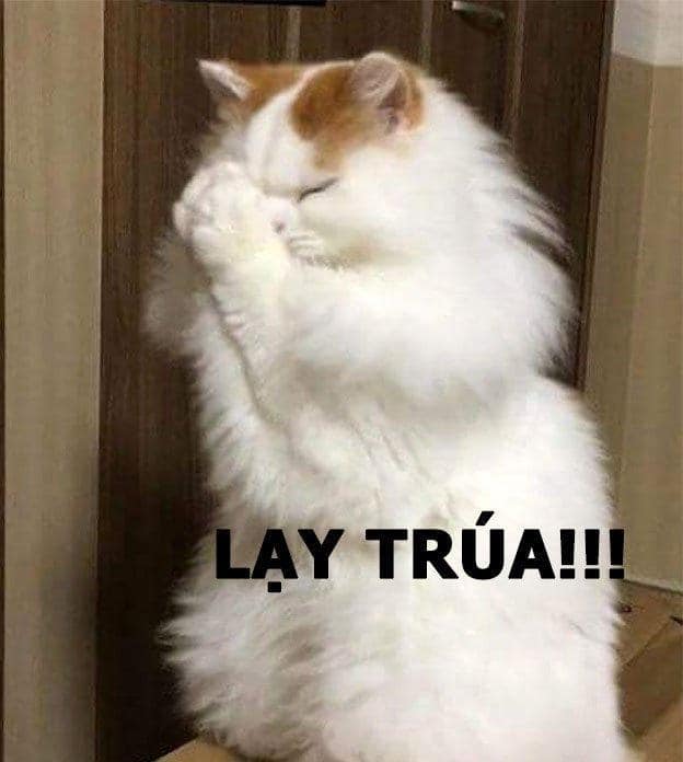 Lạy Chúa tôi!