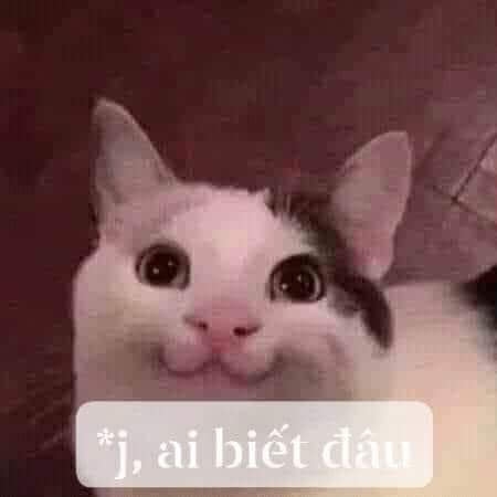 Gì zậy, ai biết gì đâu má?